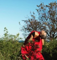 Moving Nature Dreams@LincolnPark free Workshops 