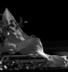 Artists in The Archive